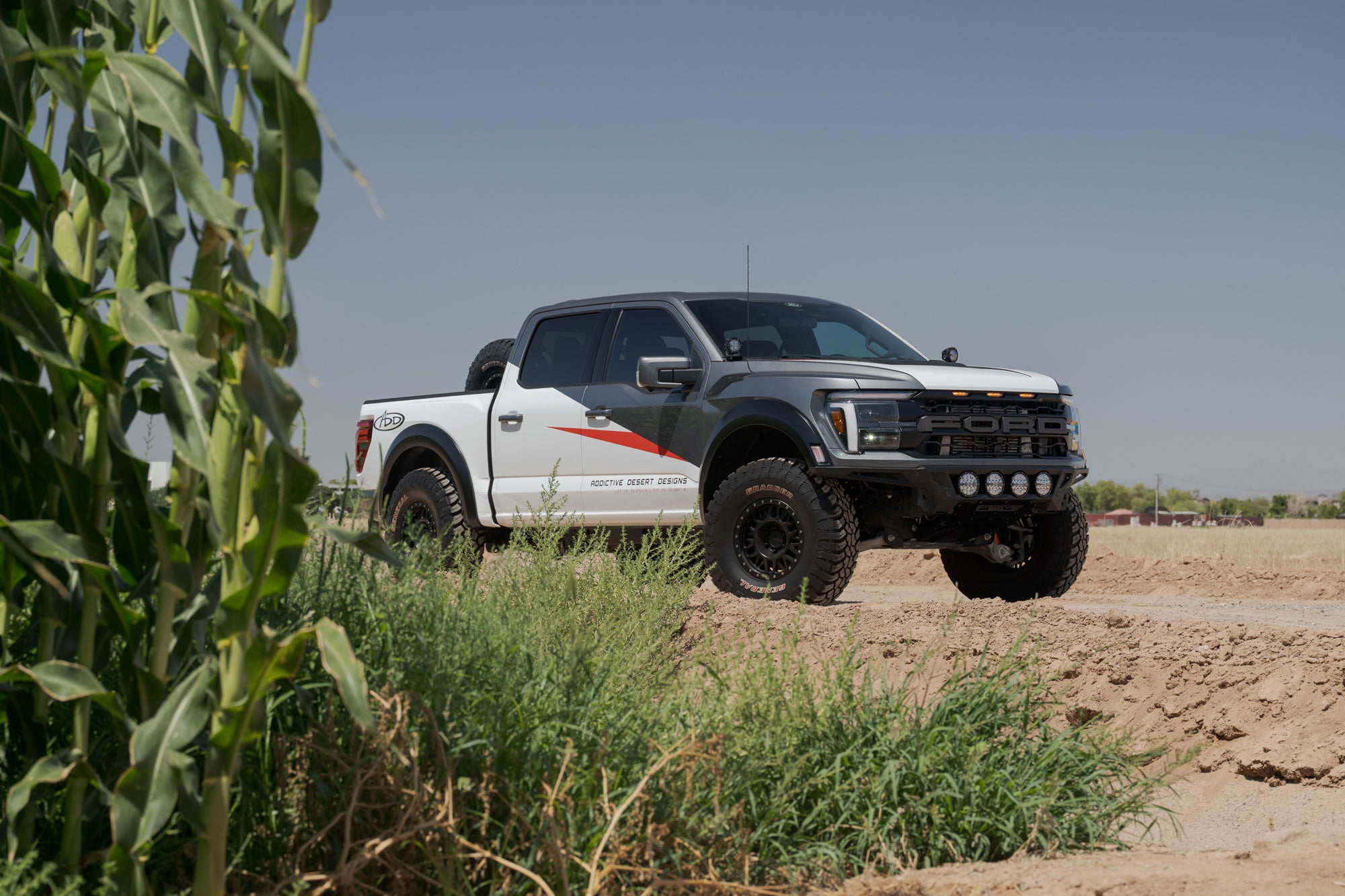 ADD Edge Front Bumper for the 2021-2025 Ford F-150 Raptor, truck peeking out from around the edge of the corn field