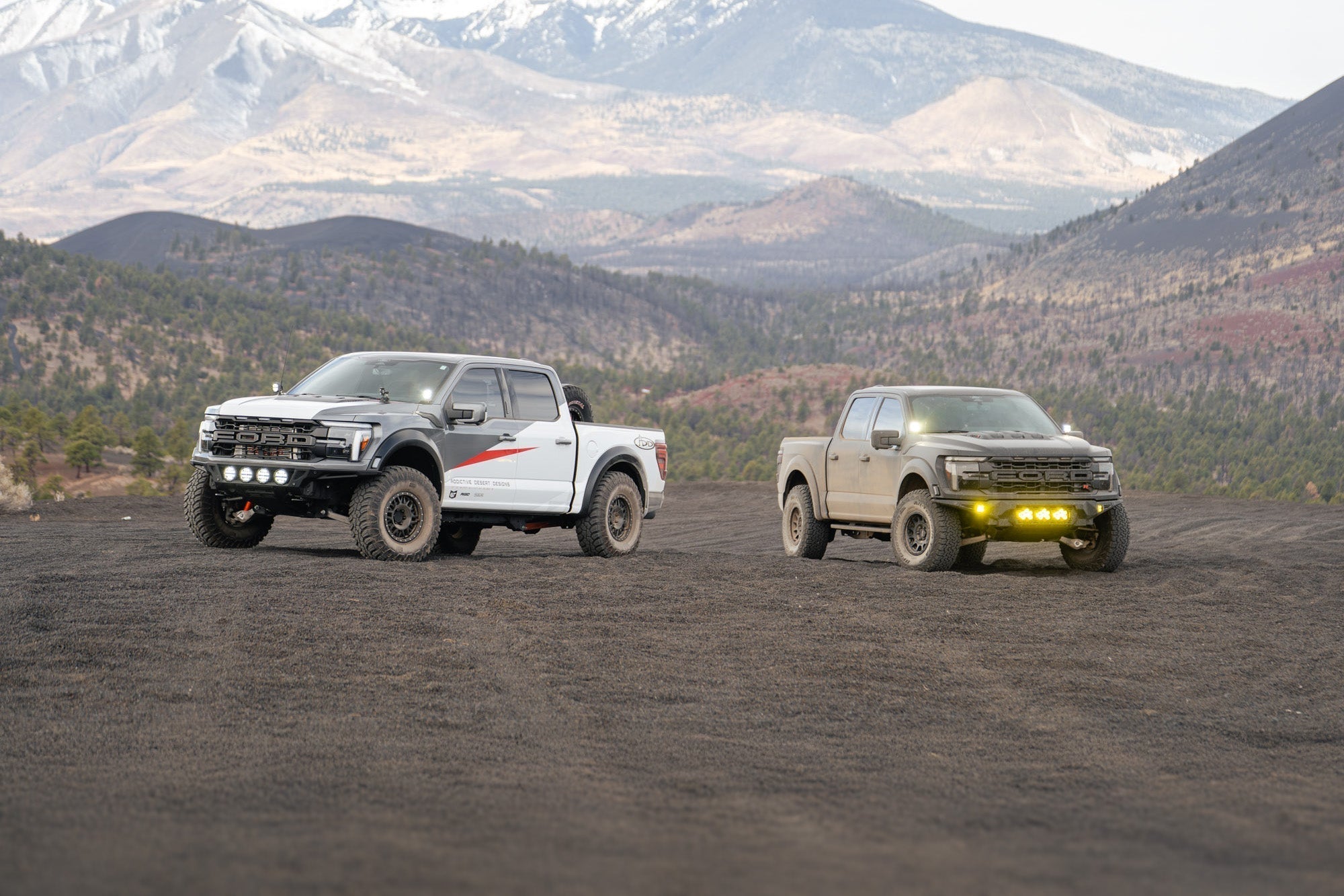 Fraptor Vs Raptor R ADD Offroad | Cinder Hills Meetup: Raptor vs. Raptor R