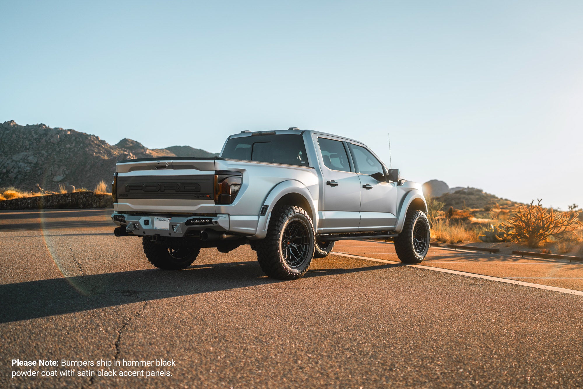 2021-2026 Ford Raptor & Raptor R HoneyBadger Rear Bumper