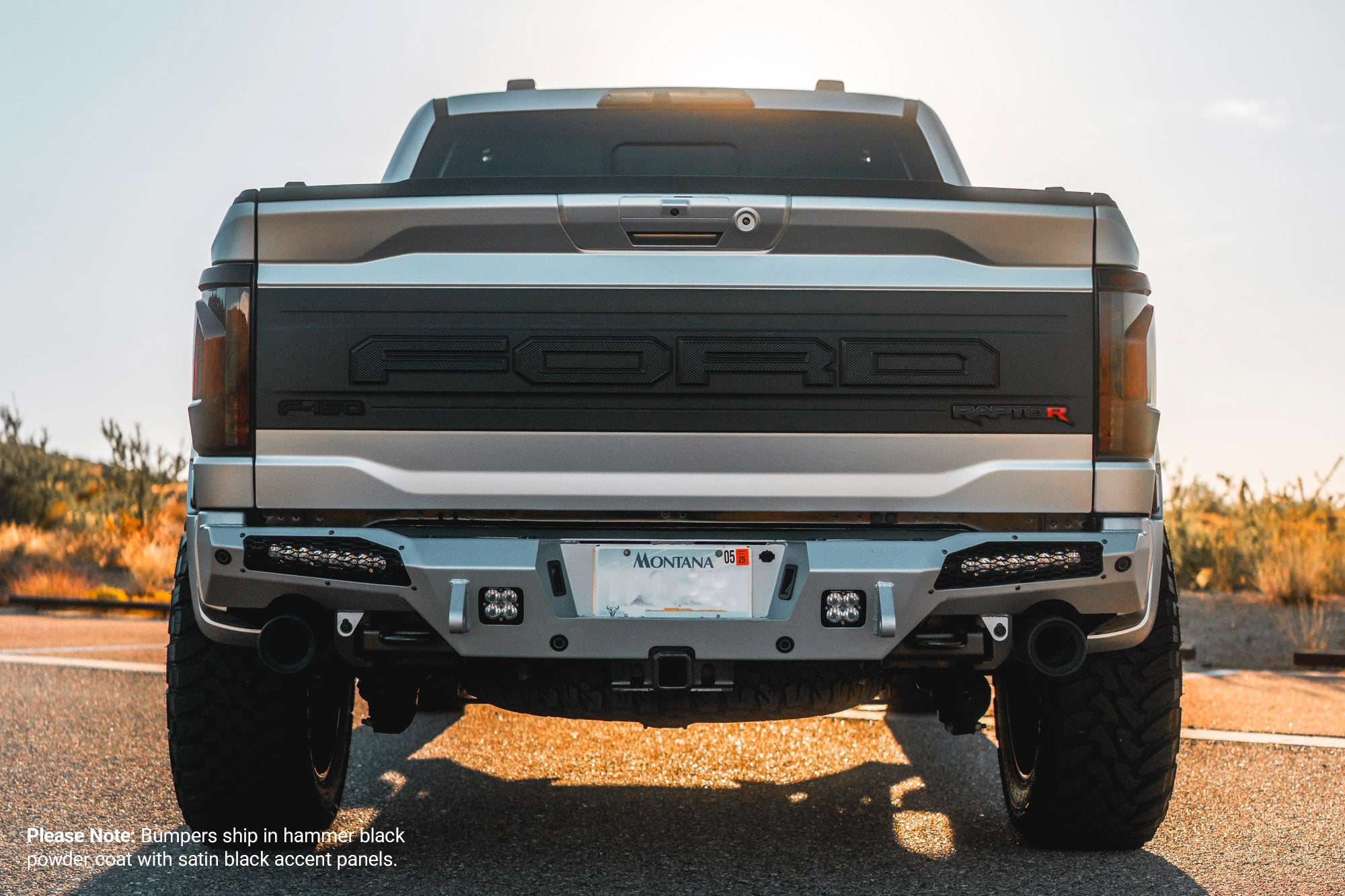 2021-2026 Ford Raptor & Raptor R HoneyBadger Rear Bumper