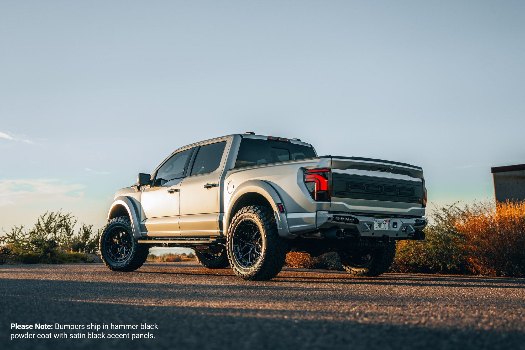 2021-2026 Ford Raptor & Raptor R HoneyBadger Rear Bumper