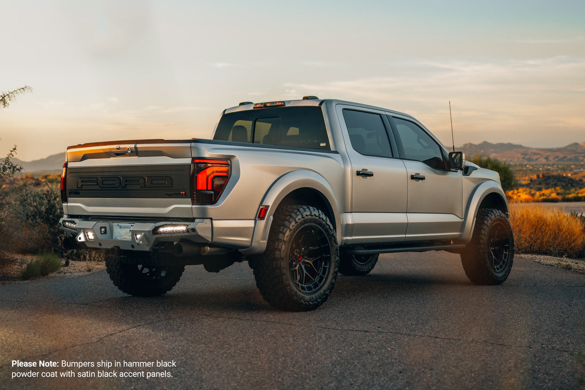 2021-2026 Ford Raptor & Raptor R HoneyBadger Rear Bumper