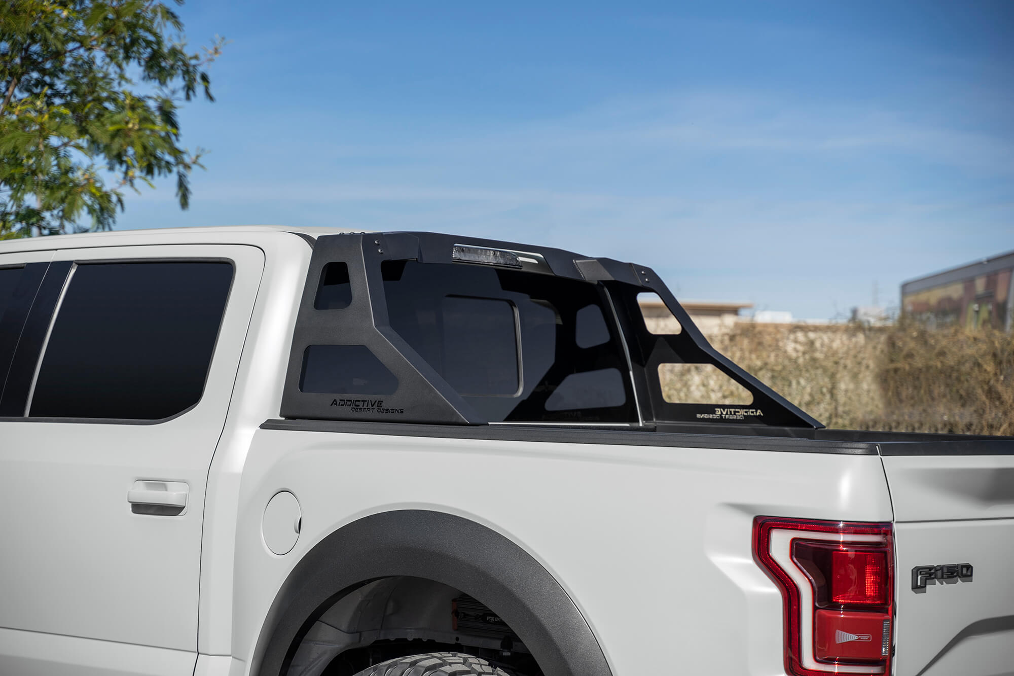 2015-2023 Ford F-150/Raptor Stealth Fighter Chase Rack | Heritage